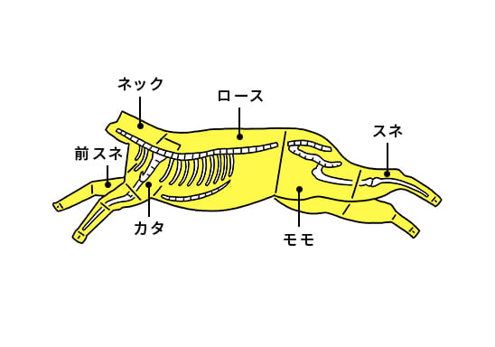 カットチャートのイラスト