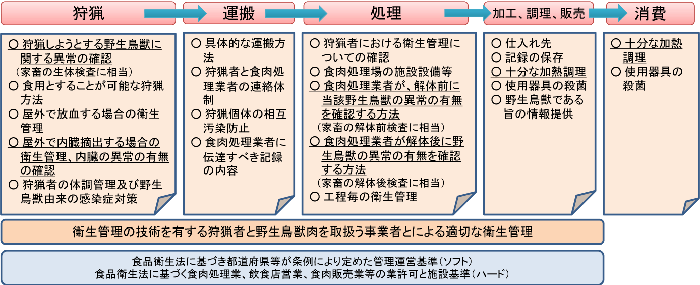 野生鳥獣肉の衛生管理に関する指針（ガイドライン）の項目